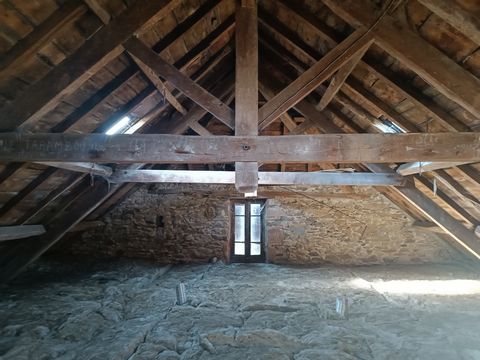 photo no. 18