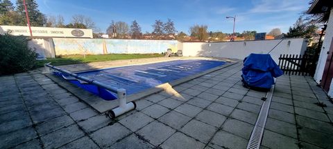 photo no. 11