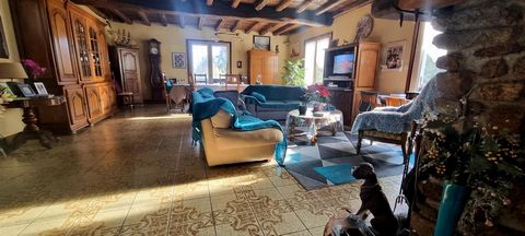 photo no. 12