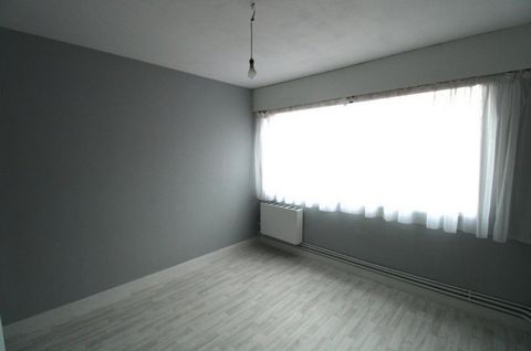 photo no. 6
