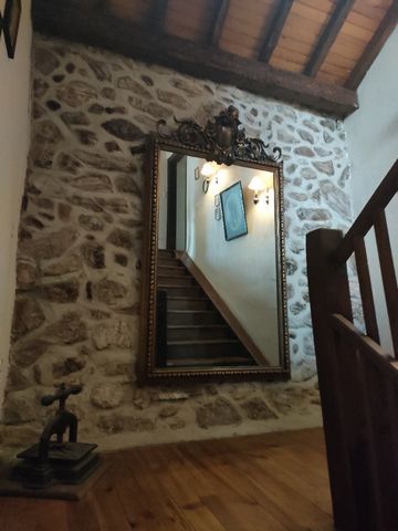 photo no. 16