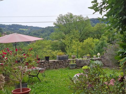 photo no. 11