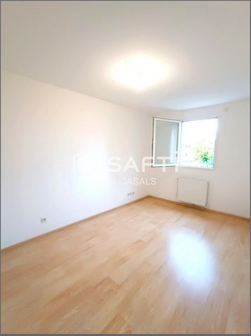 photo no. 8