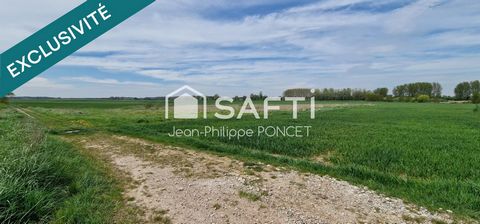 photo no. 1