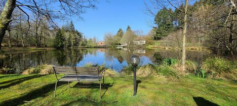 photo no. 23