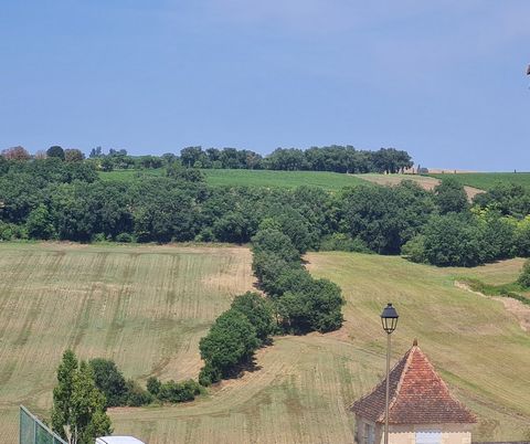 photo no. 4