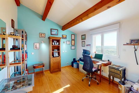photo no. 11