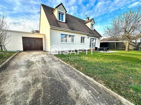 photo no. 10