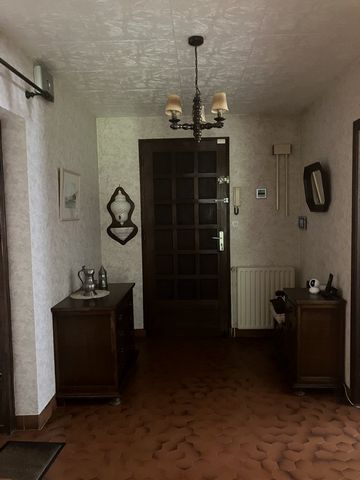 photo no. 12