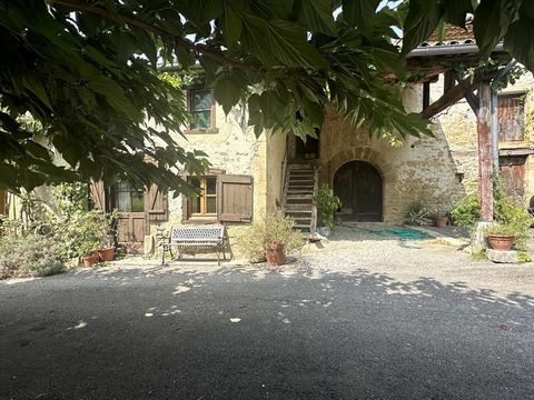 photo no. 8
