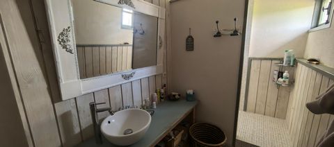 photo no. 12