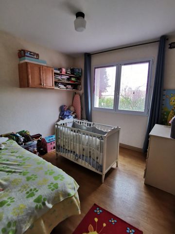 photo no. 6