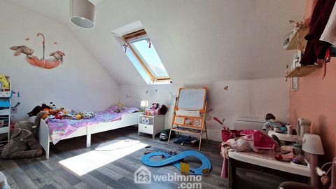 photo no. 16