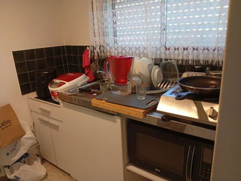 photo no. 2