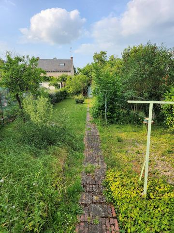 photo no. 16