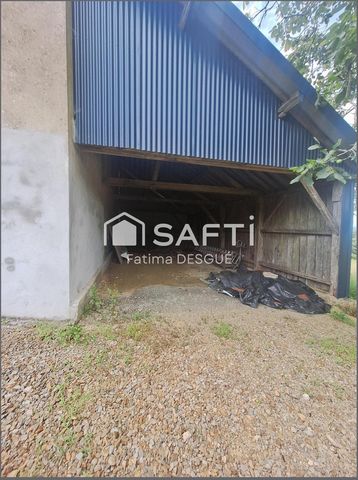 photo no. 15