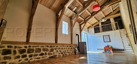 photo no. 2