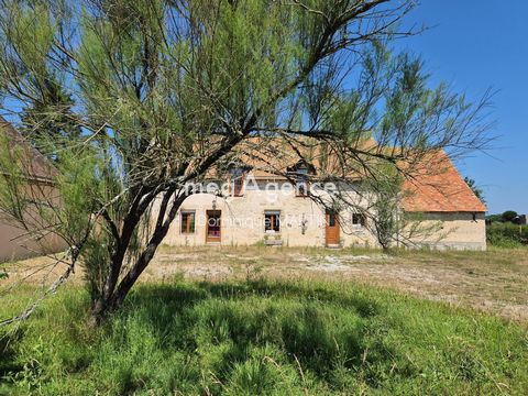 Grande maison en pierre + dépendance
