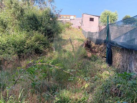 Apresento-lhe um excelente terreno rústico com uma área de 1.060m², localizado na freguesia de Cucujães, concelho de Oliveira de Azeméis. Este espaço oferece um potencial incrível tanto para atividades agrícolas quanto para construção, tornando-se um...