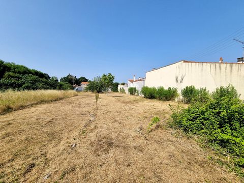 photo no. 6