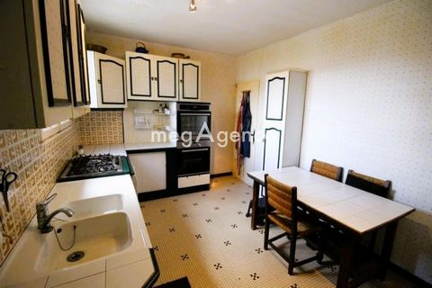photo no. 6