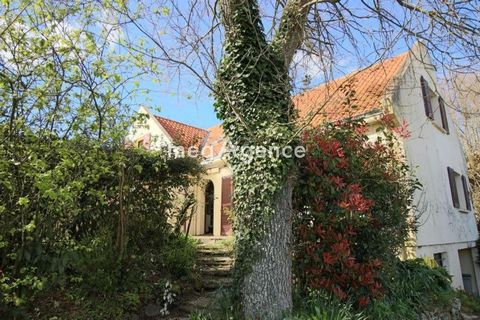 photo no. 14