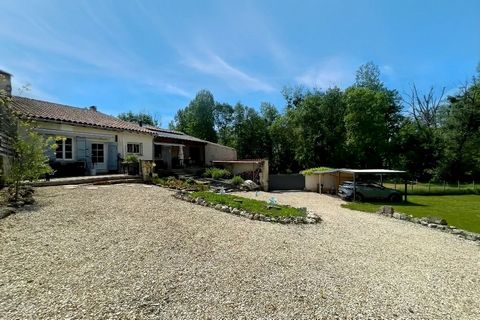 photo no. 12