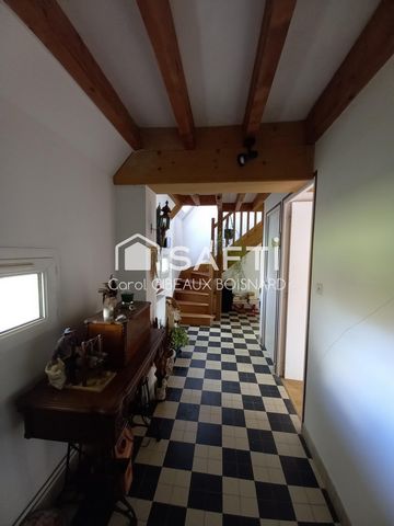 photo no. 2