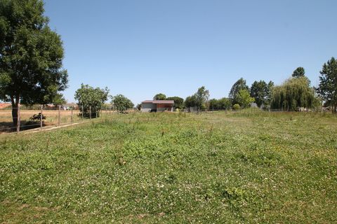 photo no. 2