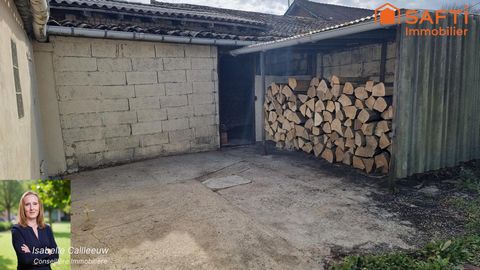 photo no. 11