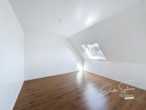 photo no. 10