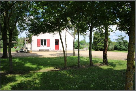 photo no. 12
