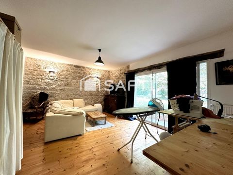 photo no. 11