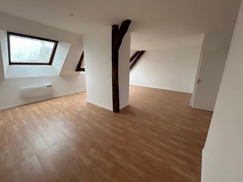 photo no. 10