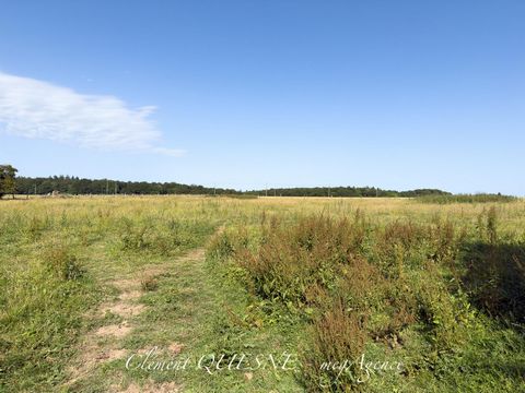photo no. 17