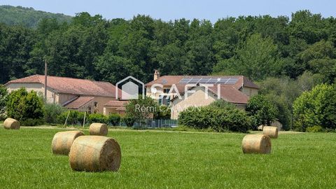 photo no. 11
