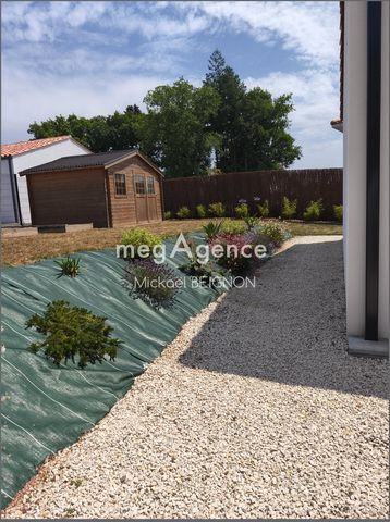 photo no. 10