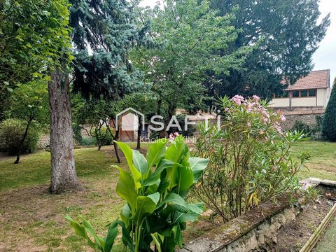 photo no. 3