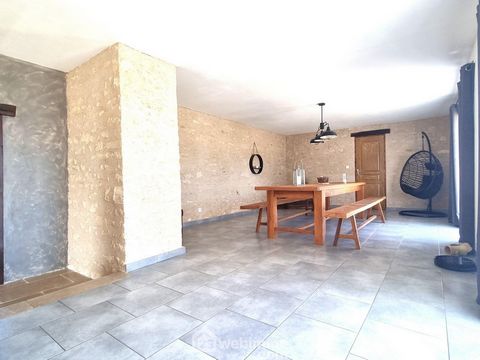 photo no. 13