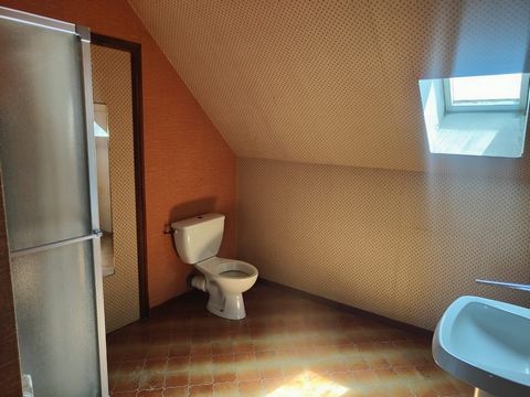 photo no. 16