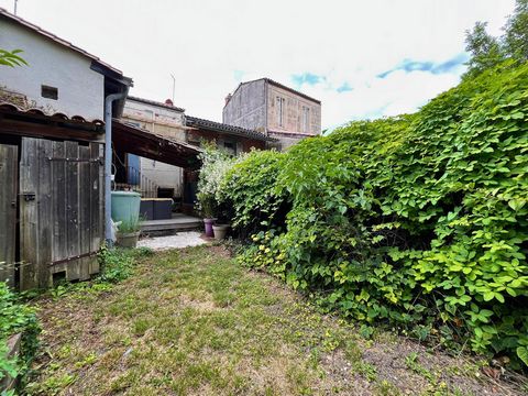 photo no. 11