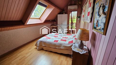 photo no. 11