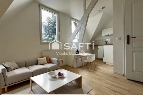 photo no. 11