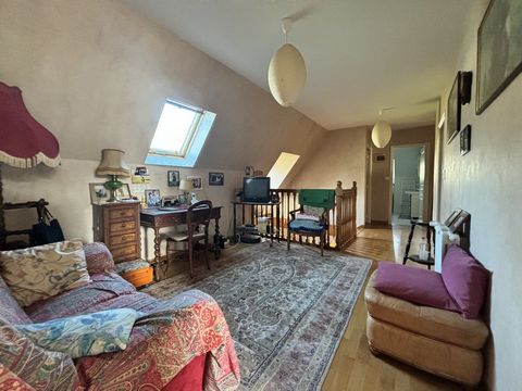 photo no. 11