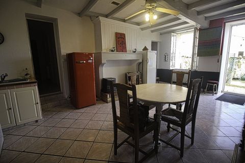 photo no. 6