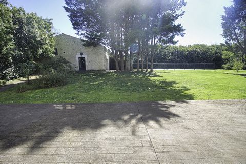 photo no. 14