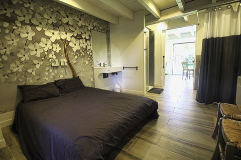 photo no. 17