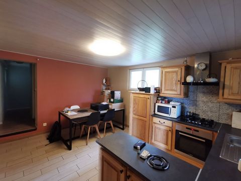 photo no. 11