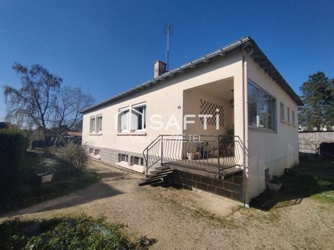 photo no. 11