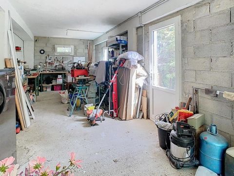 photo no. 18